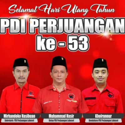 Struktur PDIP Kabupaten Labuhanbatu Selatan dari Kabupaten sampai Desa